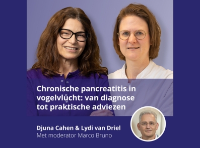 Chronische pancreatitis in de praktijk – aflevering 1