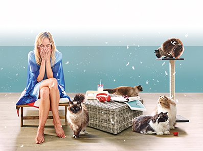 Lees hier over de weetjes rondom een huisdierallergie