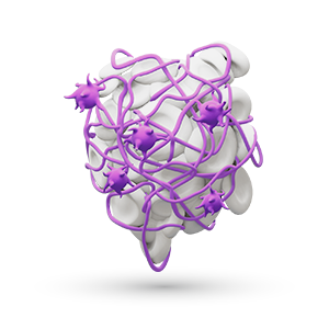 Op zoek naar meer informatie en nieuws over trombo-embolie? U komt hier meer te weten over trombo-embolie.